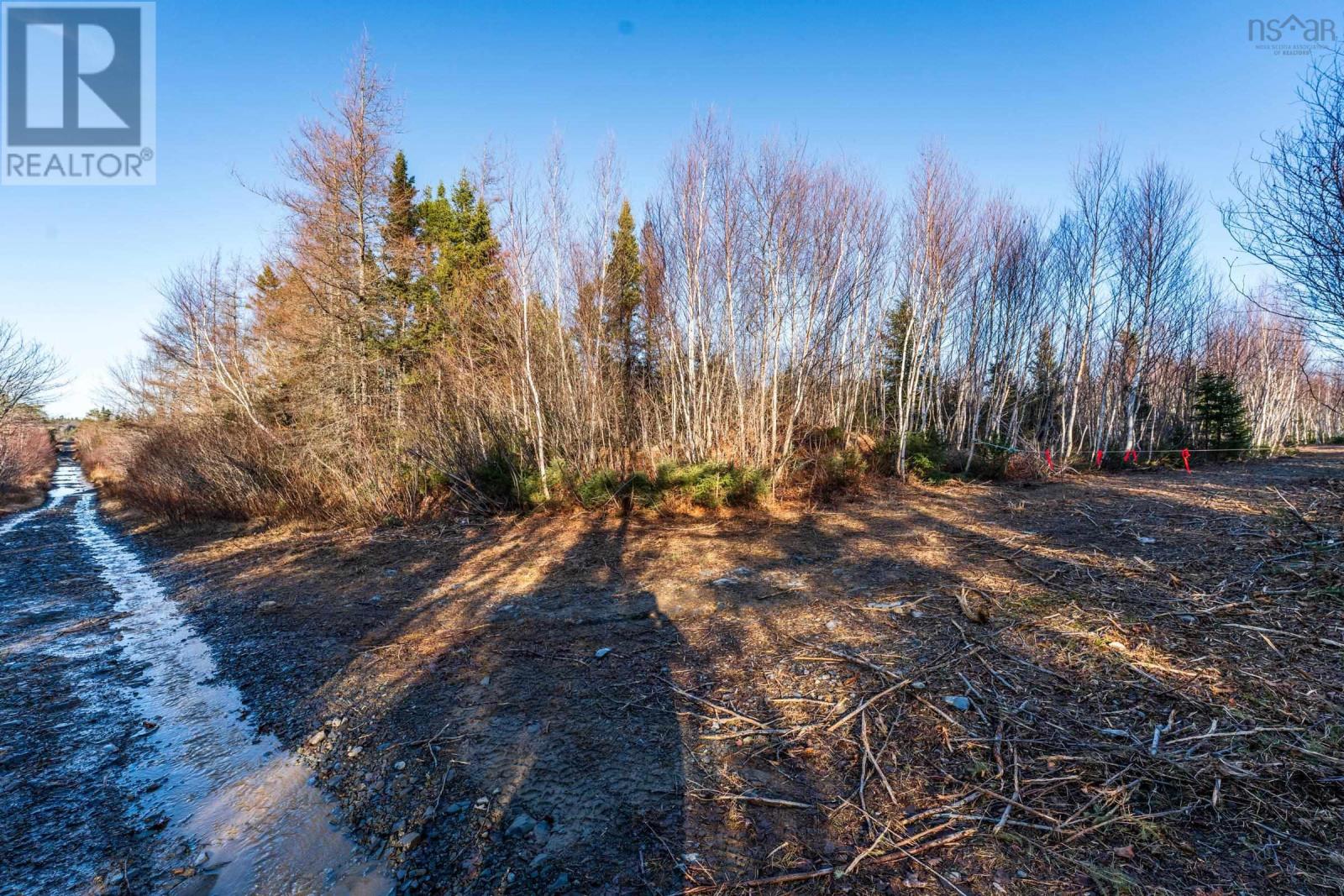 Lot 1 Porter Road, Mayflower, Nova Scotia  B0W 2Y0 - Photo 19 - 202603885