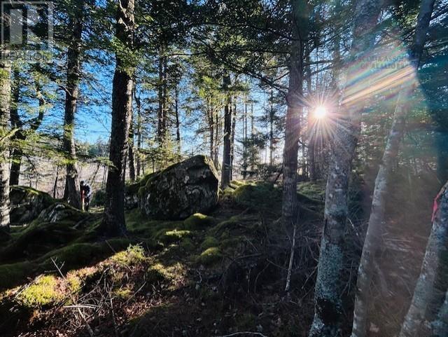 351 Narrows Road, 351 Narrow Road, Labelle, Nova Scotia  B0T 1E0 - Photo 46 - 202603888