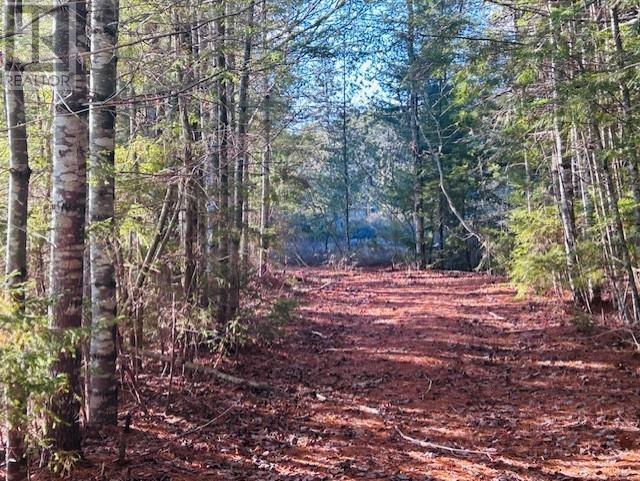 351 Narrows Road, 351 Narrow Road, Labelle, Nova Scotia  B0T 1E0 - Photo 43 - 202603889