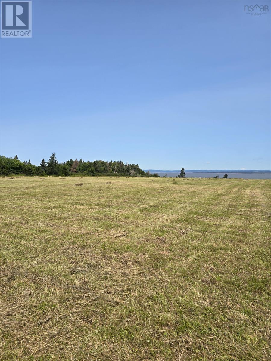 2971 Highway 215, Moose Brook, Nova Scotia  B0N 2R0 - Photo 11 - 202603962