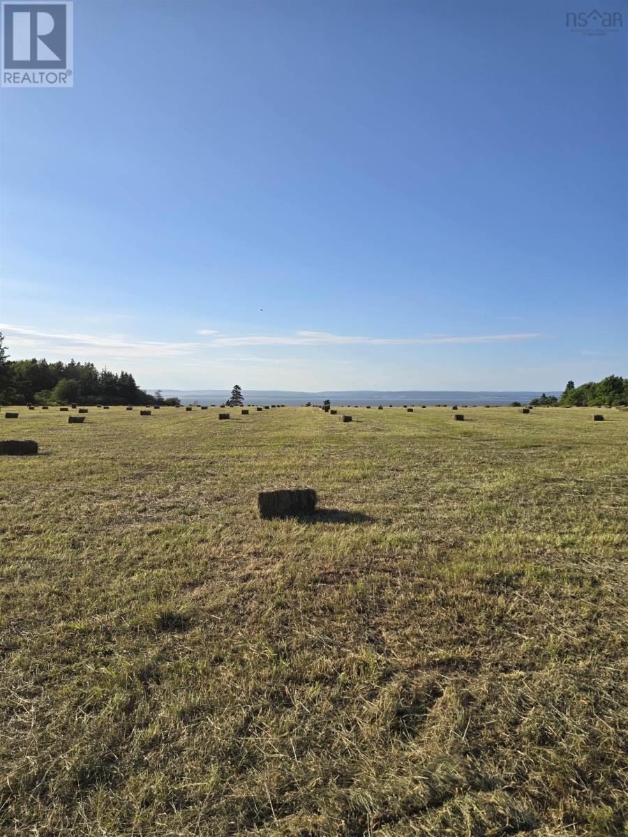 2971 Highway 215, Moose Brook, Nova Scotia  B0N 2R0 - Photo 14 - 202603962