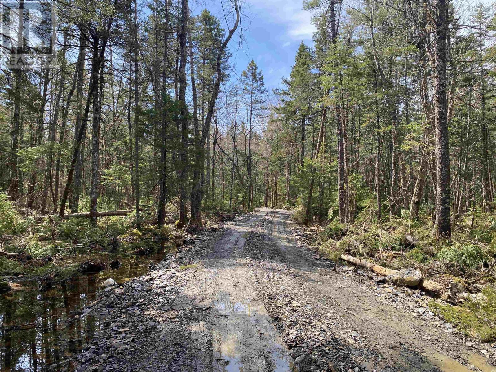 Lot 16 Shingle Lake Road, New Elm, Nova Scotia  B4V 7M3 - Photo 17 - 202604047