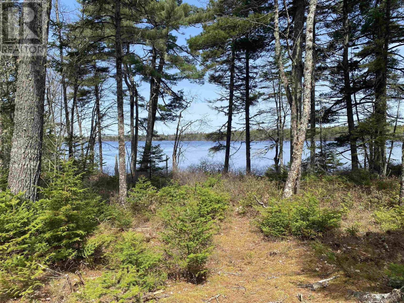 Lot 16 Shingle Lake Road, New Elm, Nova Scotia  B4V 7M3 - Photo 5 - 202604047