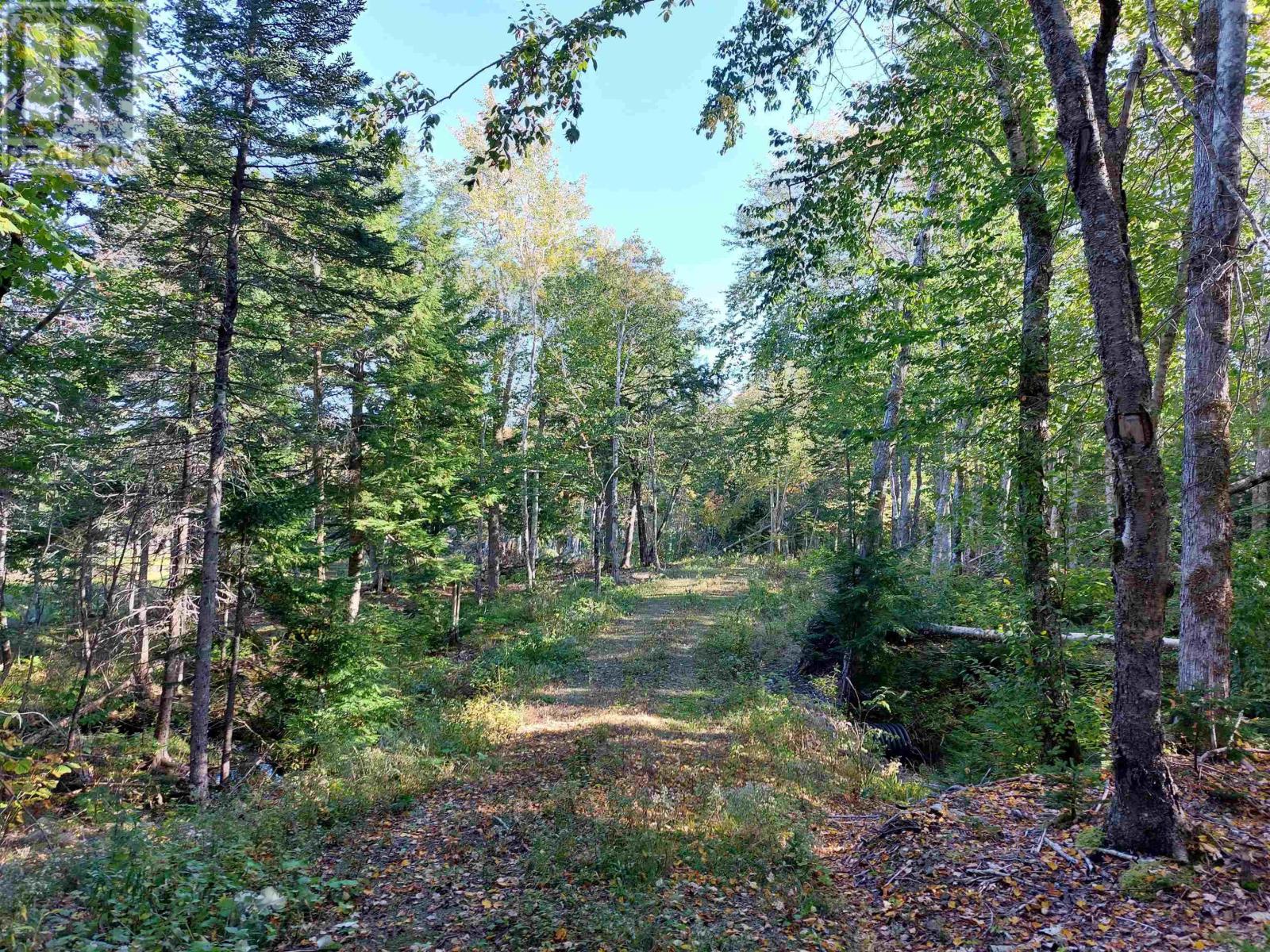 Lot 50 Redbird Dr., Malagawatch, Nova Scotia  B0E 2Y0 - Photo 17 - 202604072