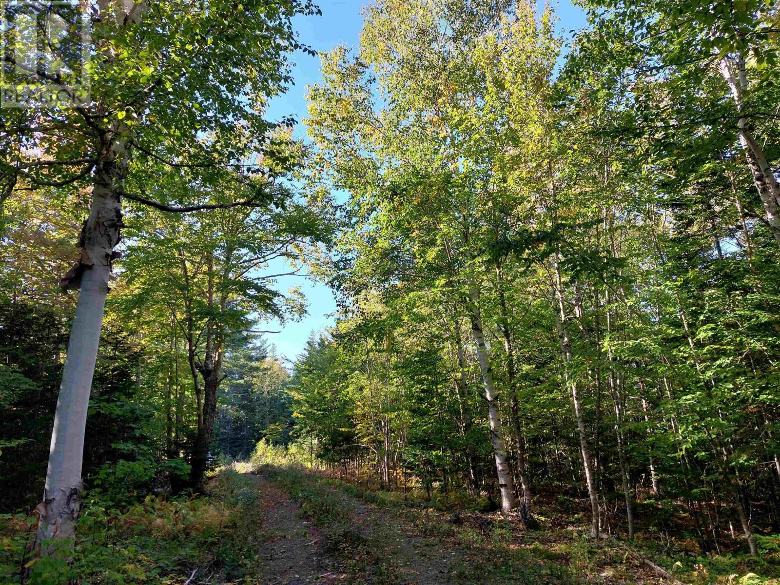 Lot 50 Redbird Dr., Malagawatch, Nova Scotia  B0E 2Y0 - Photo 7 - 202604072