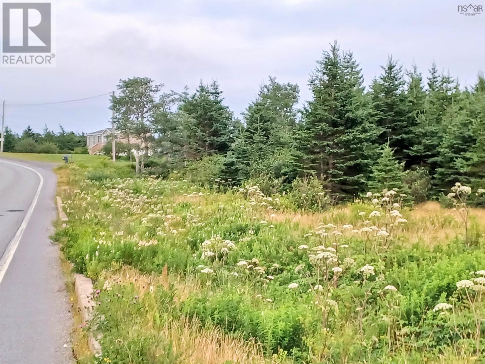 Highway 16, Hazel Hill, Nova Scotia  B0H 1H0 - Photo 4 - 202604142