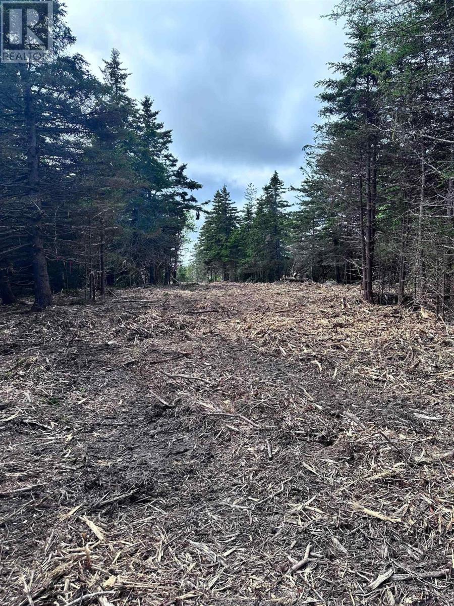 Highway 16, Hazel Hill, Nova Scotia  B0H 1H0 - Photo 7 - 202604142