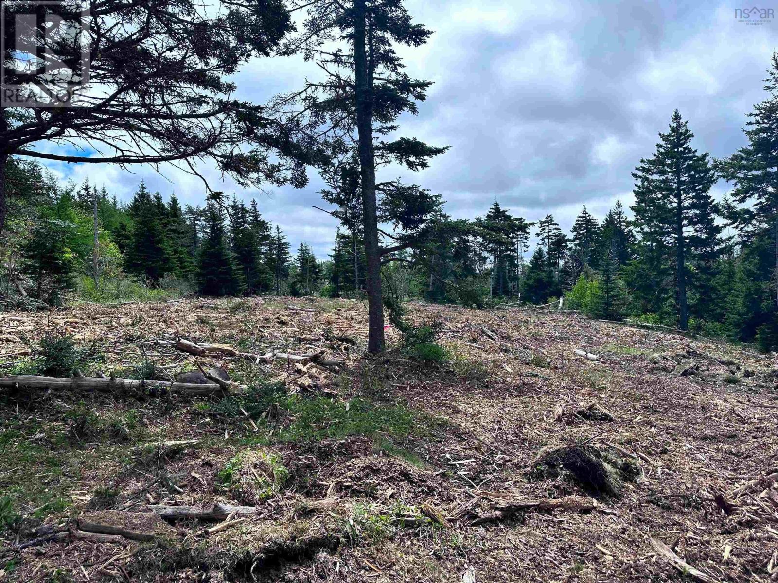 Highway 16, Hazel Hill, Nova Scotia  B0H 1H0 - Photo 8 - 202604142