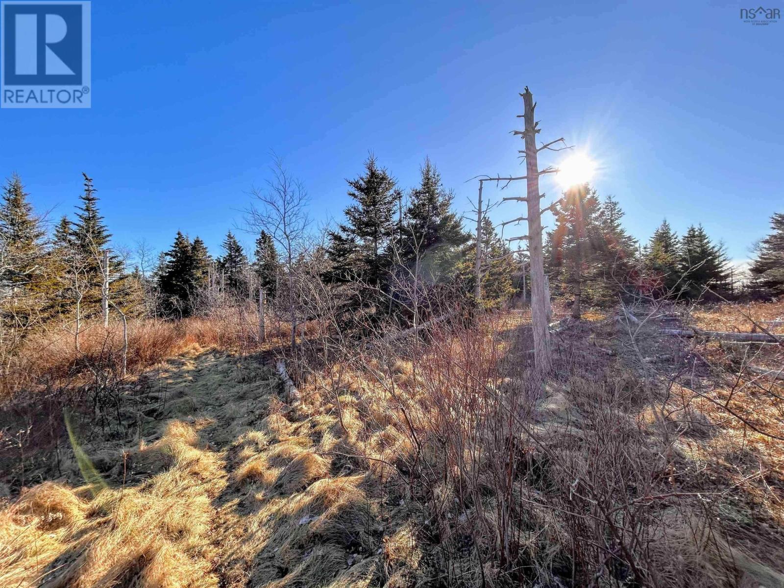 Highway 16, Hazel Hill, Nova Scotia  B0H 1H0 - Photo 9 - 202604142