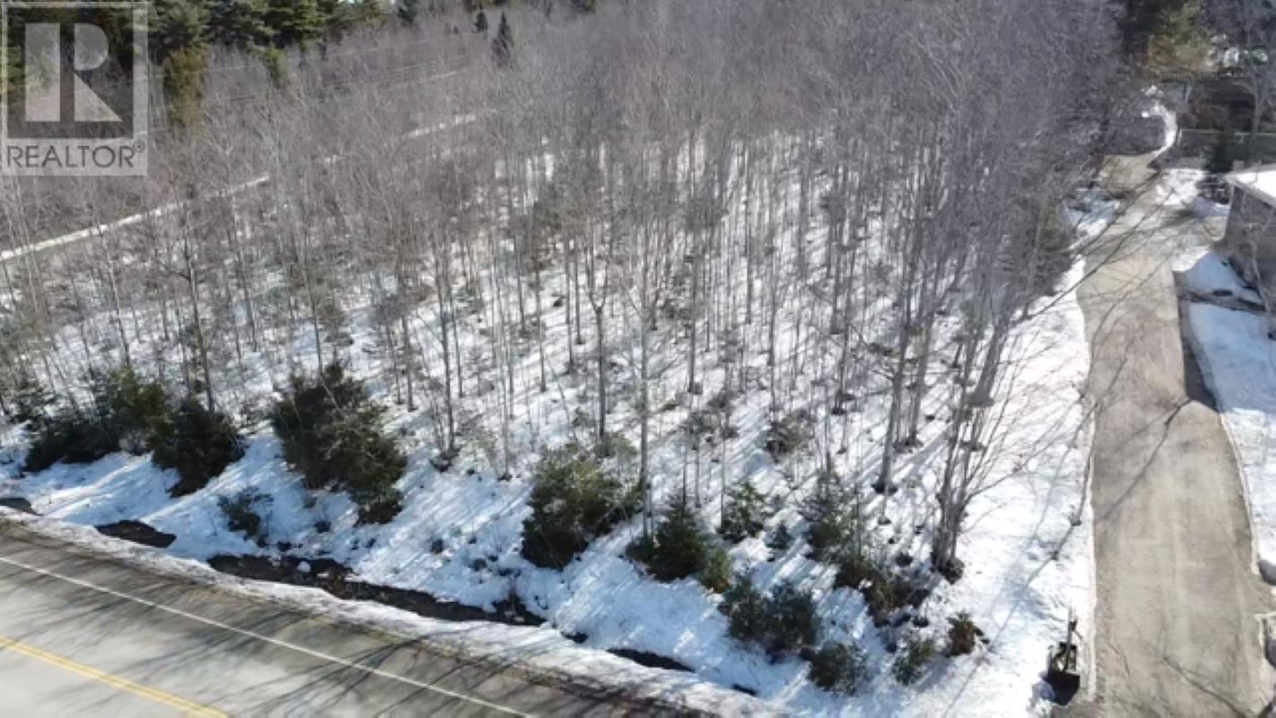 Lot 11 Pine Grove Road, Pine Grove, Nova Scotia  B0J 1E0 - Photo 4 - 202604177