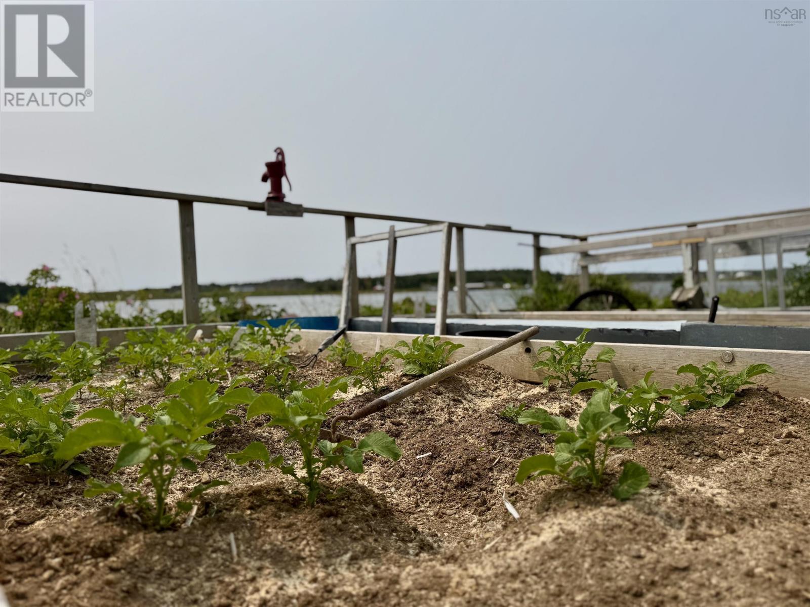 9684 St. Peter's Fourchu Rd., Fourchu, Nova Scotia  B2J 1A5 - Photo 12 - 202604197