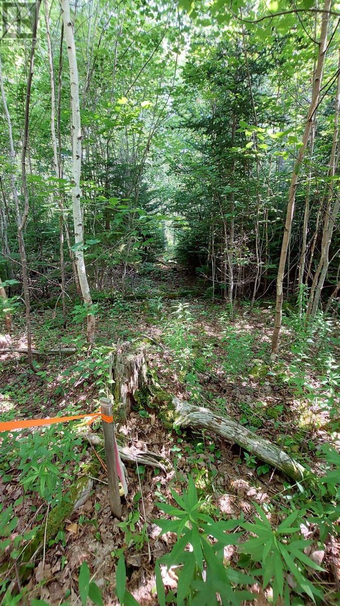 Lot 5 Tranquil Shore Rd, Marshes (West Bay), Nova Scotia  B0E 1V0 - Photo 12 - 202604250