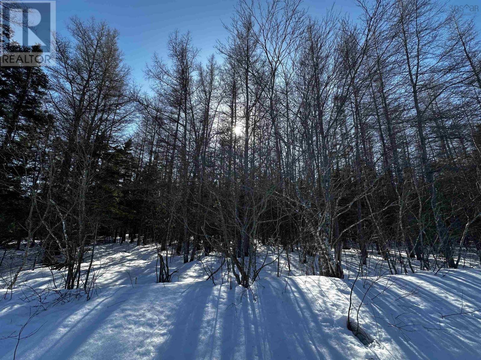 Whycocomagh-Port Hood Road, Southwest Mabou, Nova Scotia  B0E 1X0 - Photo 20 - 202604277