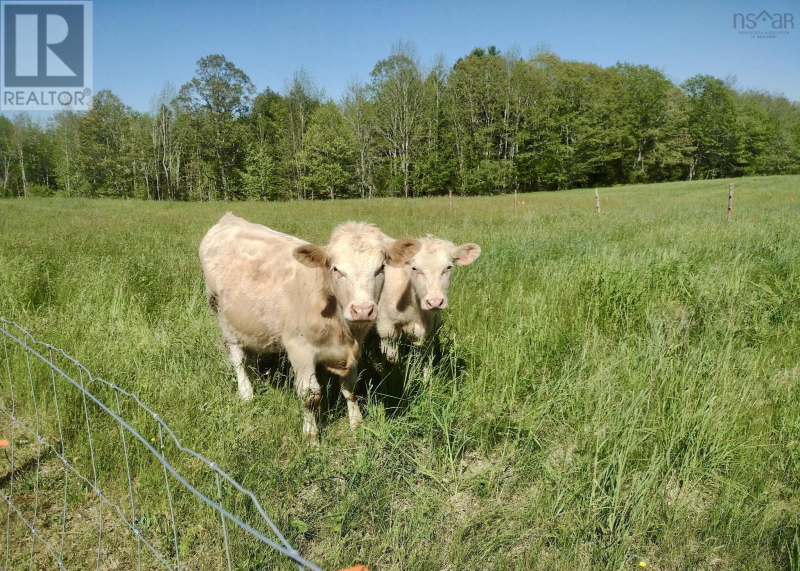 218 Garber Road, Newcombville, Nova Scotia  B4V 7Y4 - Photo 36 - 202604338