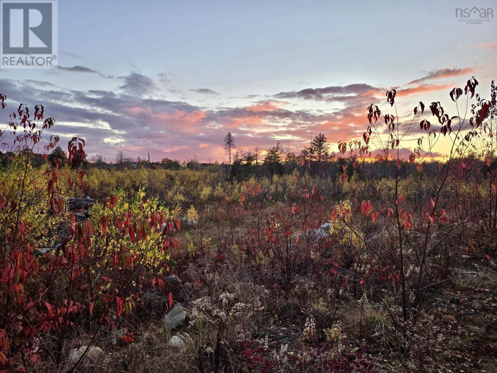 218 Garber Road, Newcombville, Nova Scotia  B4V 7Y4 - Photo 37 - 202604338