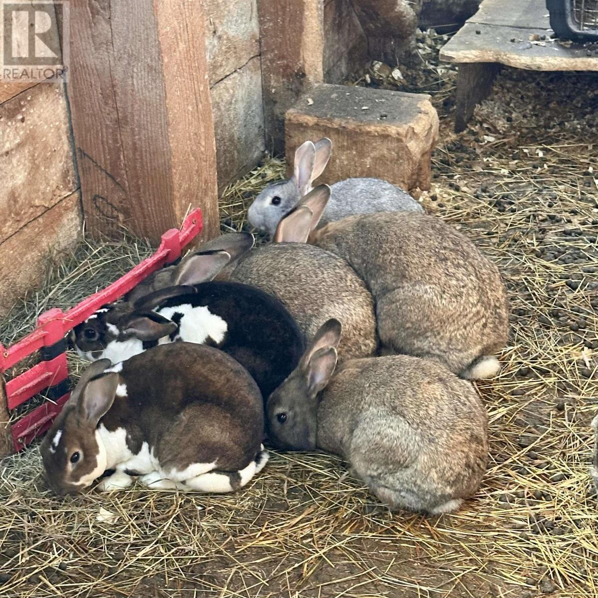 218 Garber Road, Newcombville, Nova Scotia  B4V 7Y4 - Photo 44 - 202604338