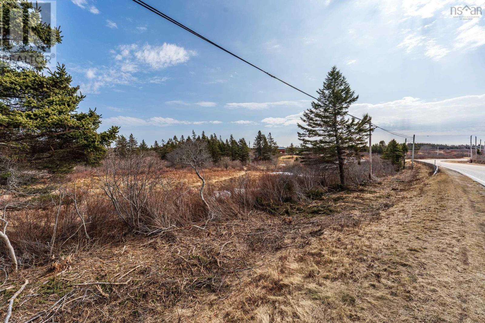 Highway 1, Beaver River, Nova Scotia  B5A 5A9 - Photo 2 - 202604442