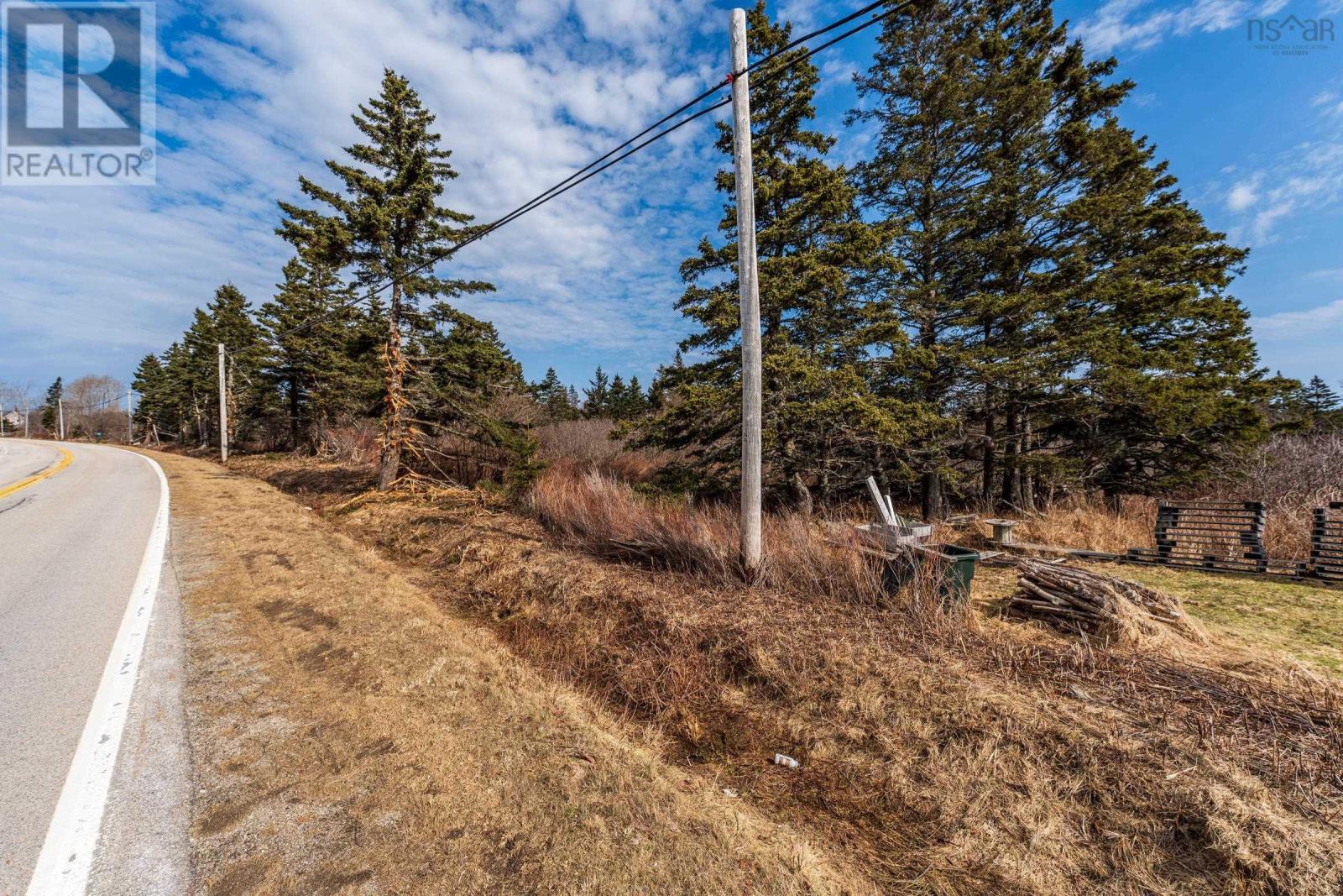Highway 1, Beaver River, Nova Scotia  B5A 5A9 - Photo 5 - 202604442