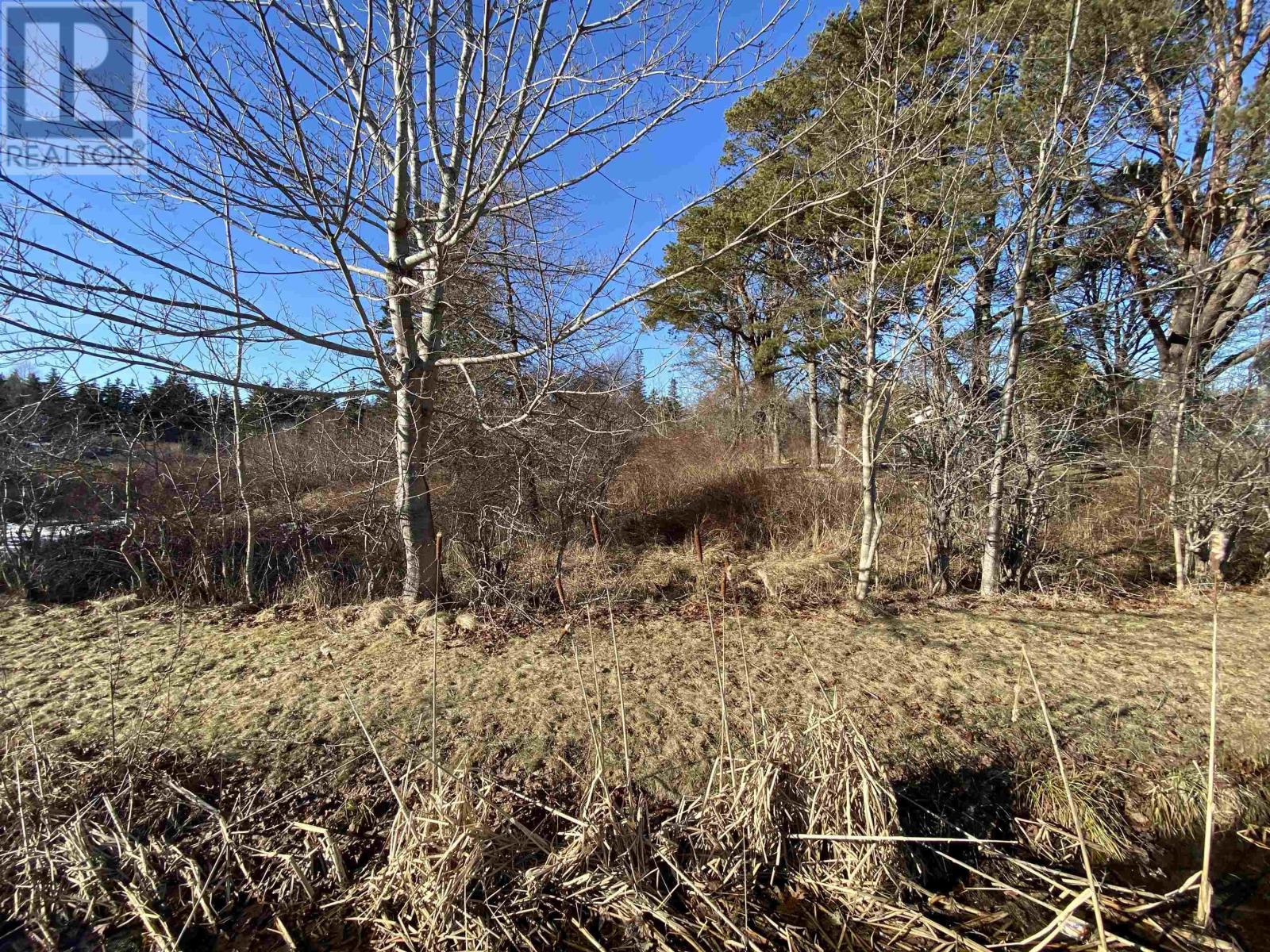 3 Highway, Arcadia, Nova Scotia  B0W 1B0 - Photo 2 - 202604444