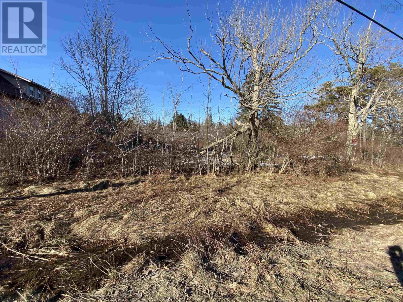 3 Highway, Arcadia, Nova Scotia  B0W 1B0 - Photo 3 - 202604444