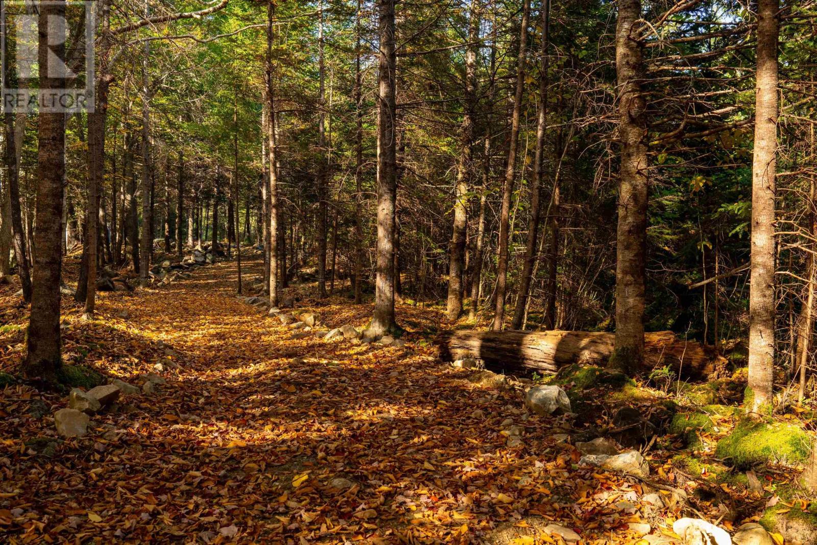Lot 9 Little Deer Lane, Chester Basin, Nova Scotia  B0J 1K0 - Photo 17 - 202604456