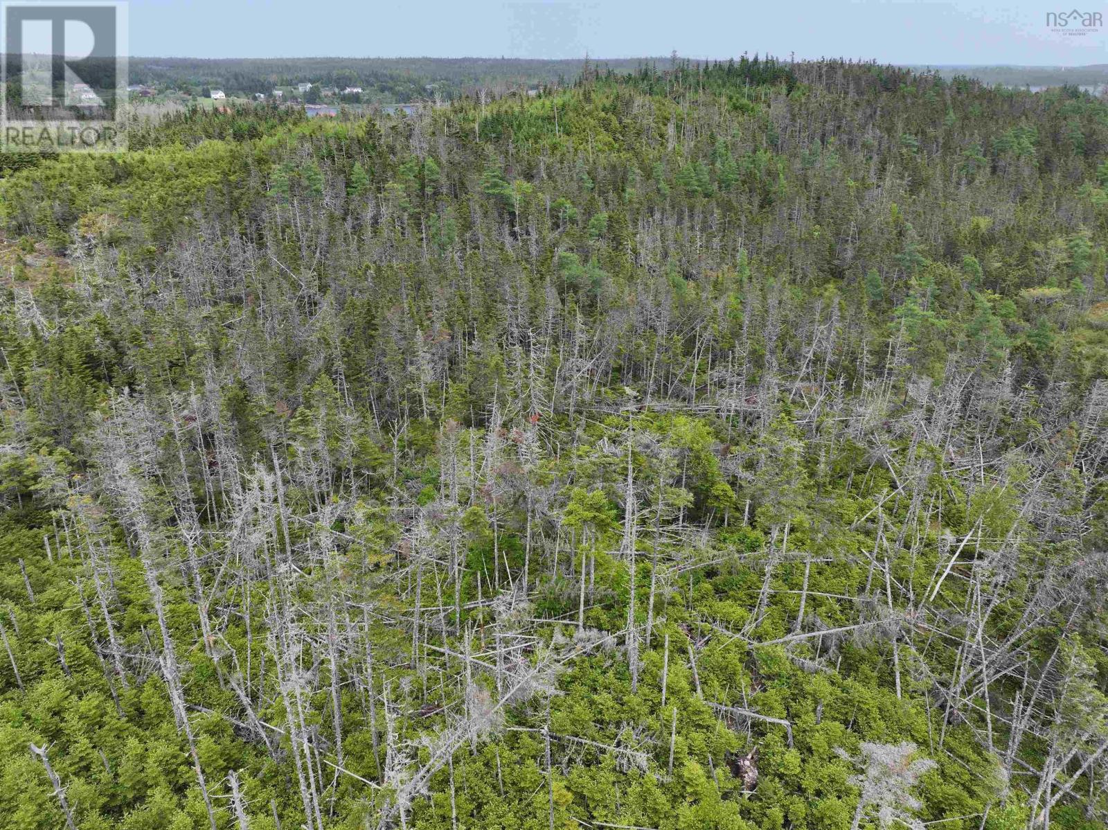 Lot 1 Mackinley Point Road, Spanish Ship Bay, Nova Scotia  B0J 1A0 - Photo 14 - 202604488