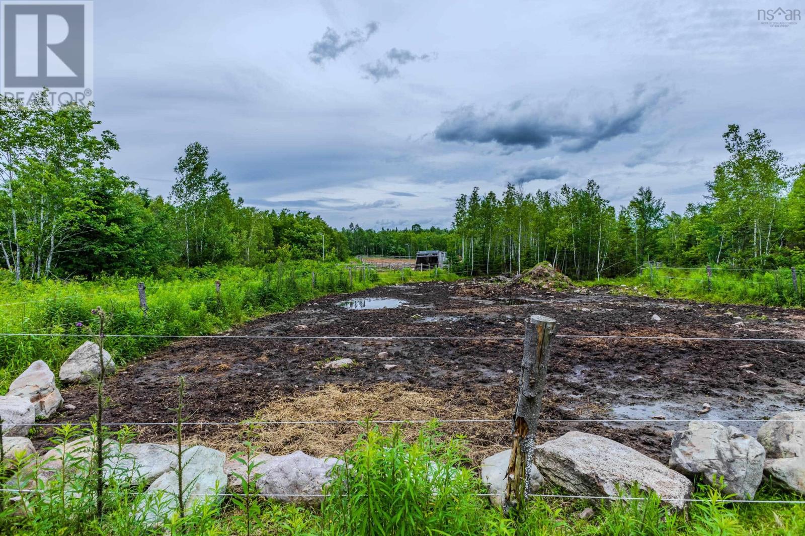 1554 Pleasant Valley Road, Pleasant Valley, Nova Scotia  B0N 1C0 - Photo 41 - 202604611