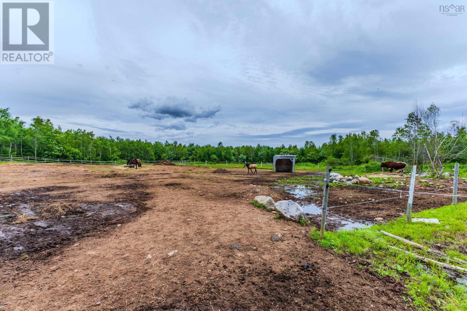 1554 Pleasant Valley Road, Pleasant Valley, Nova Scotia  B0N 1C0 - Photo 44 - 202604611