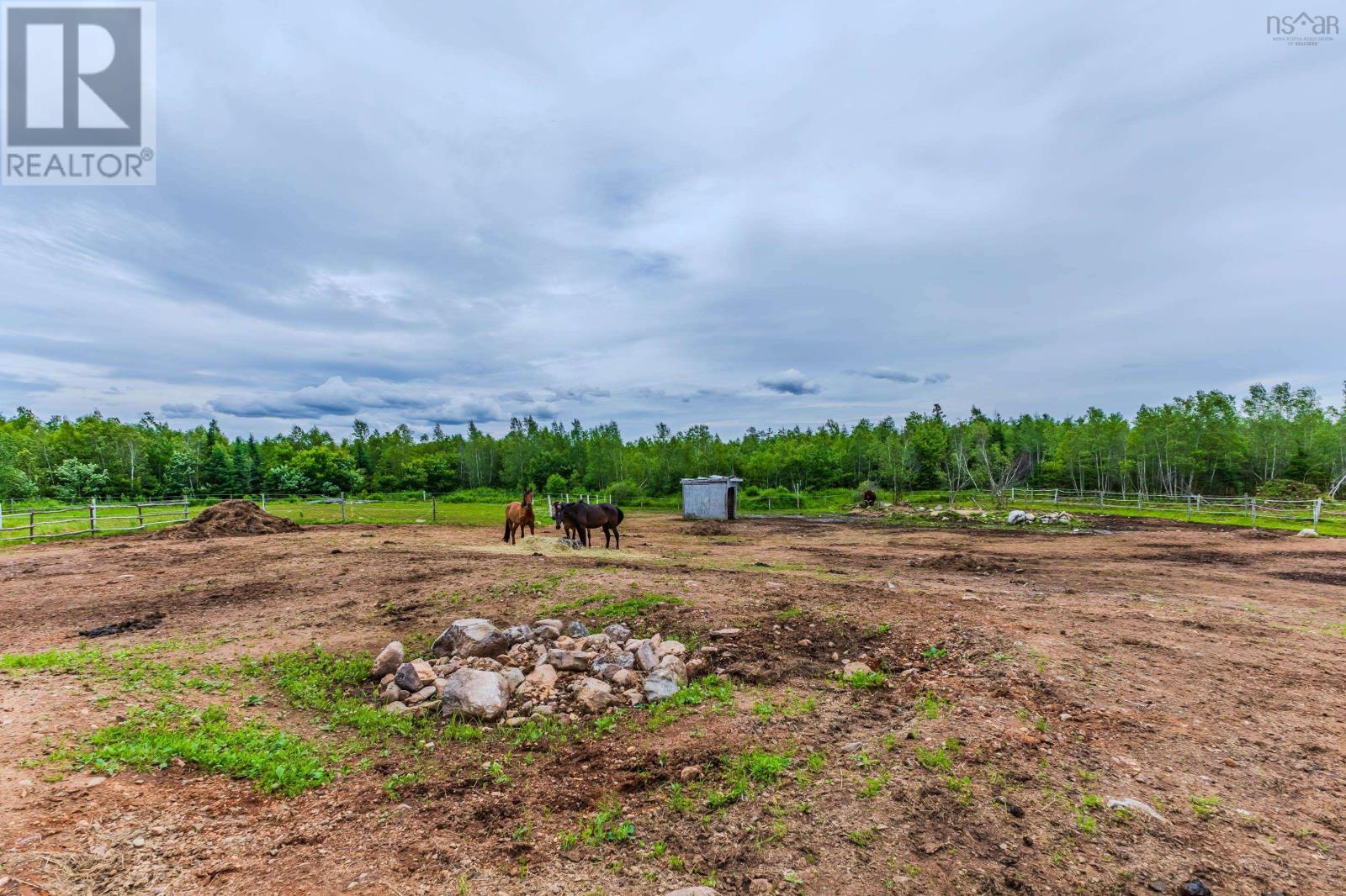 1554 Pleasant Valley Road, Pleasant Valley, Nova Scotia  B0N 1C0 - Photo 45 - 202604611