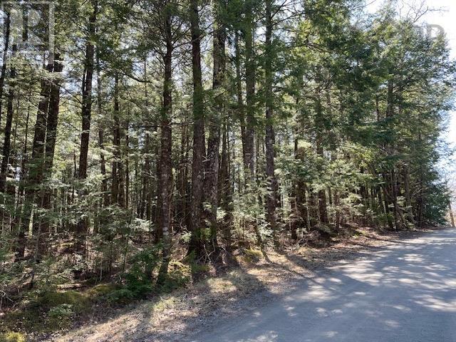 Lot 1 Arrowhead Drive, Enfield, Nova Scotia  B2T 1G9 - Photo 2 - 202604612