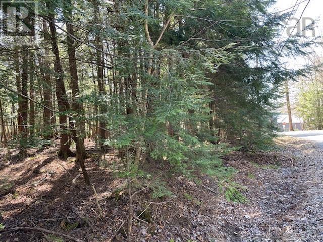 Lot 1 Arrowhead Drive, Enfield, Nova Scotia  B2T 1G9 - Photo 3 - 202604612