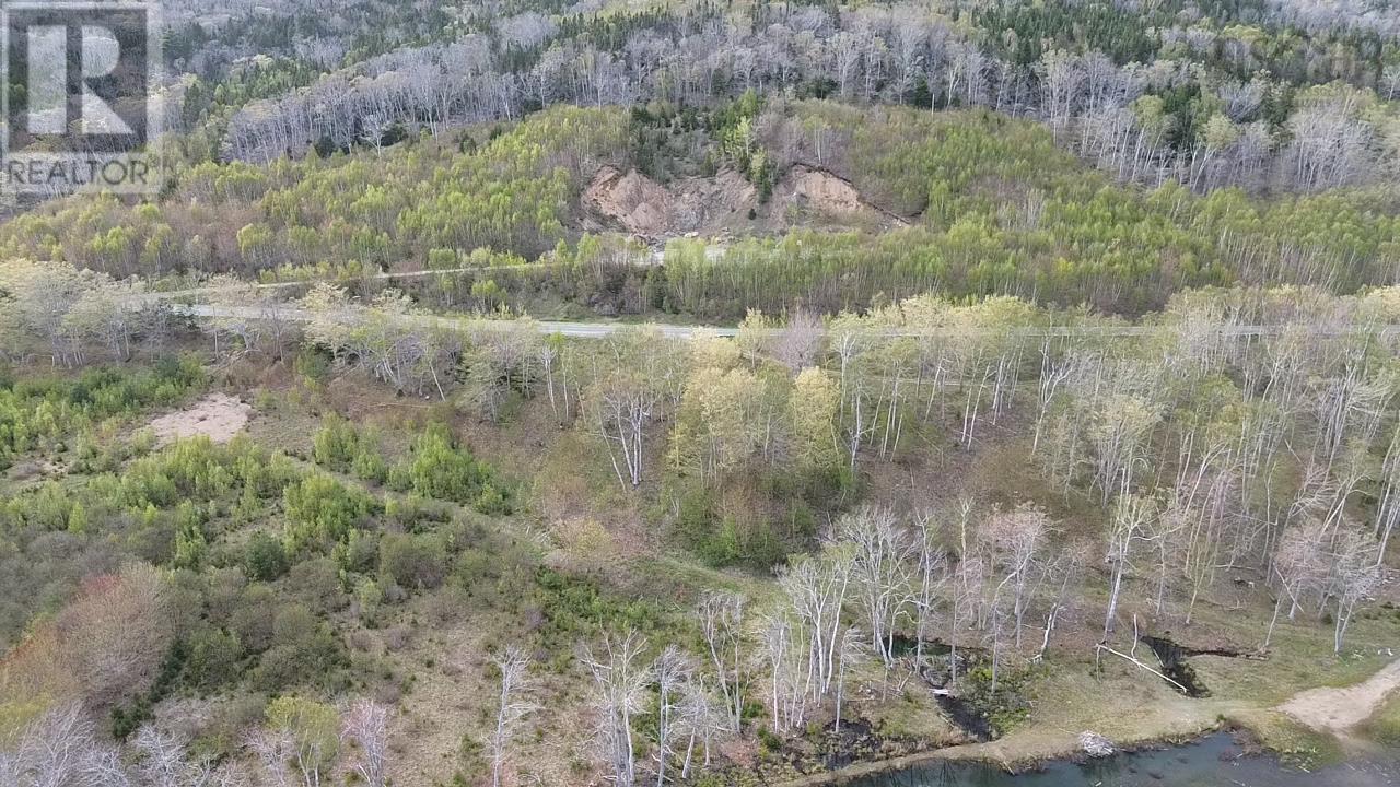 Marble Mountain Road, Lime Hill, Nova Scotia  B0E 3K0 - Photo 11 - 202604769