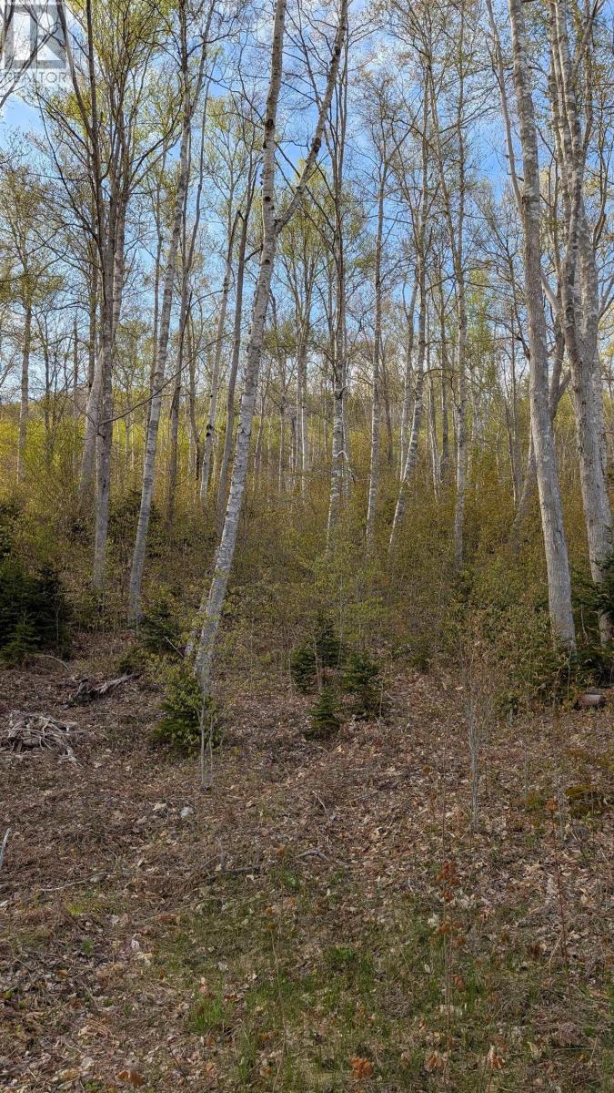 Marble Mountain Road, Lime Hill, Nova Scotia  B0E 3K0 - Photo 19 - 202604769