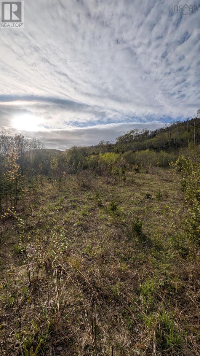 Marble Mountain Road, Lime Hill, Nova Scotia  B0E 3K0 - Photo 26 - 202604769