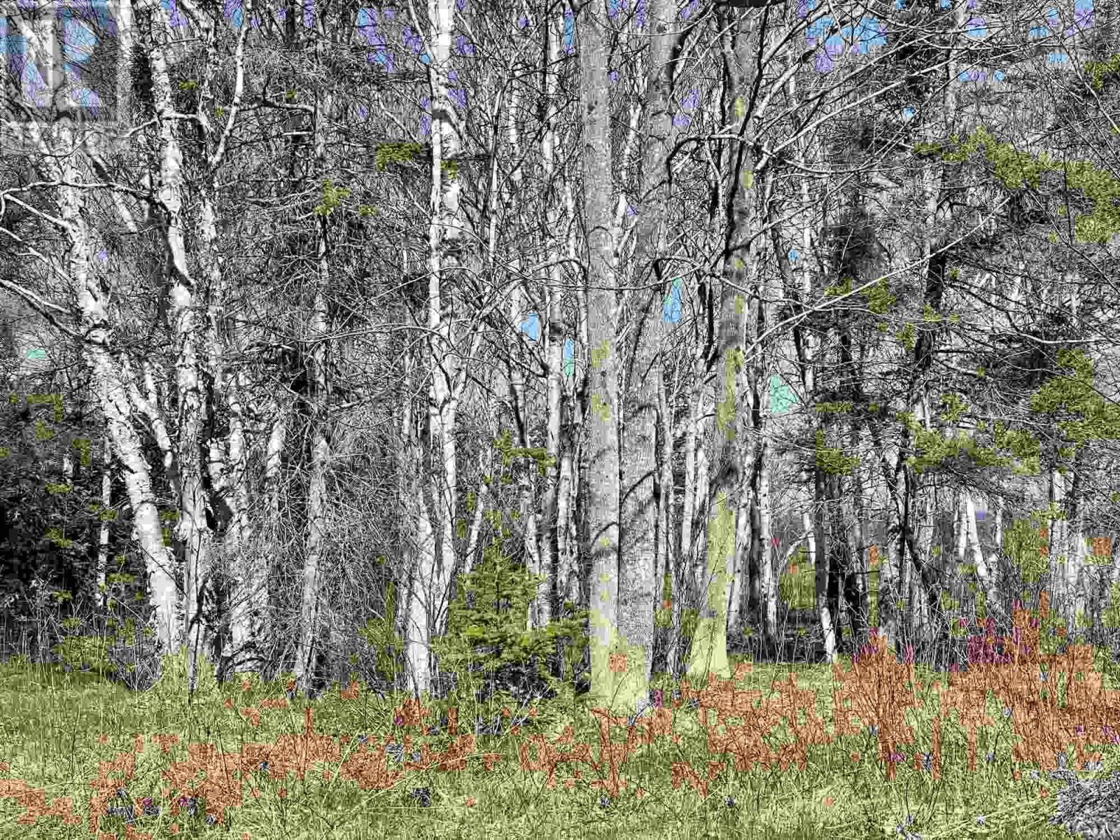 Lot 18 Millbrook Rise, Antigonish, Nova Scotia  B2G 2L1 - Photo 3 - 202604804