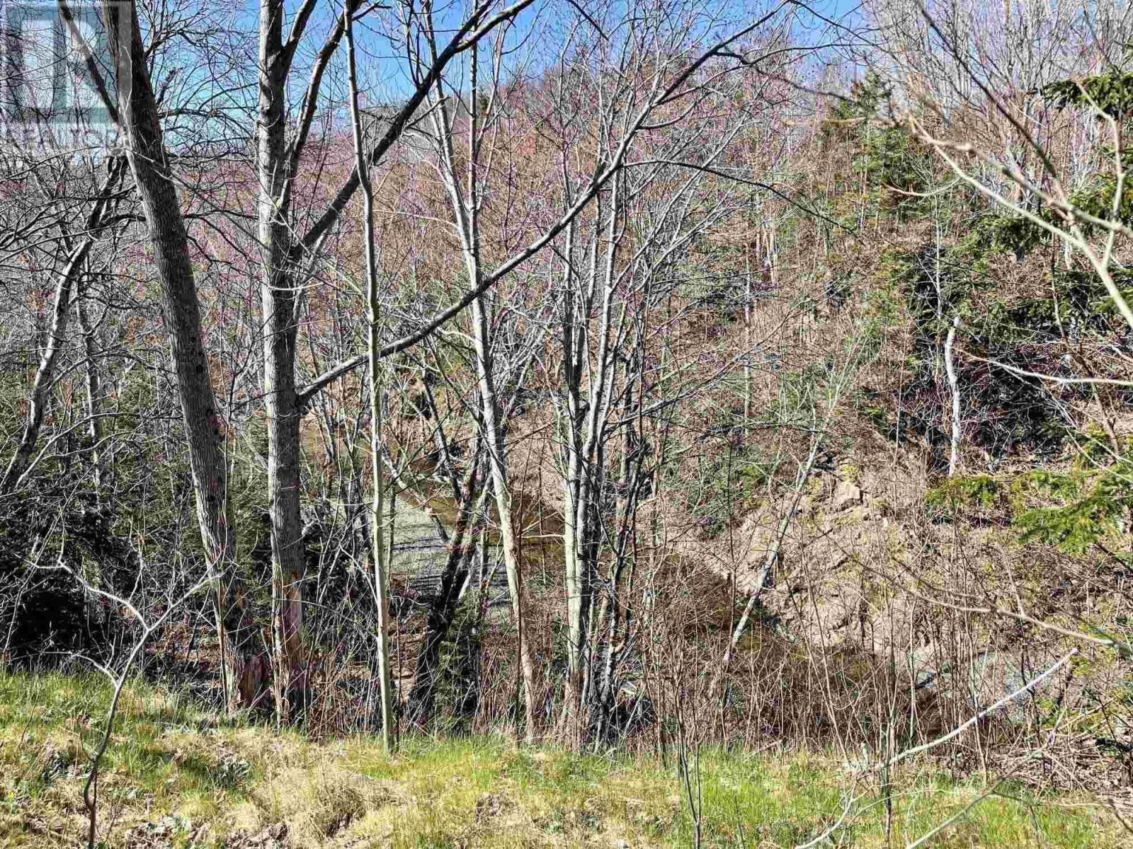 Lot 18 Millbrook Rise, Antigonish, Nova Scotia  B2G 2L1 - Photo 4 - 202604804