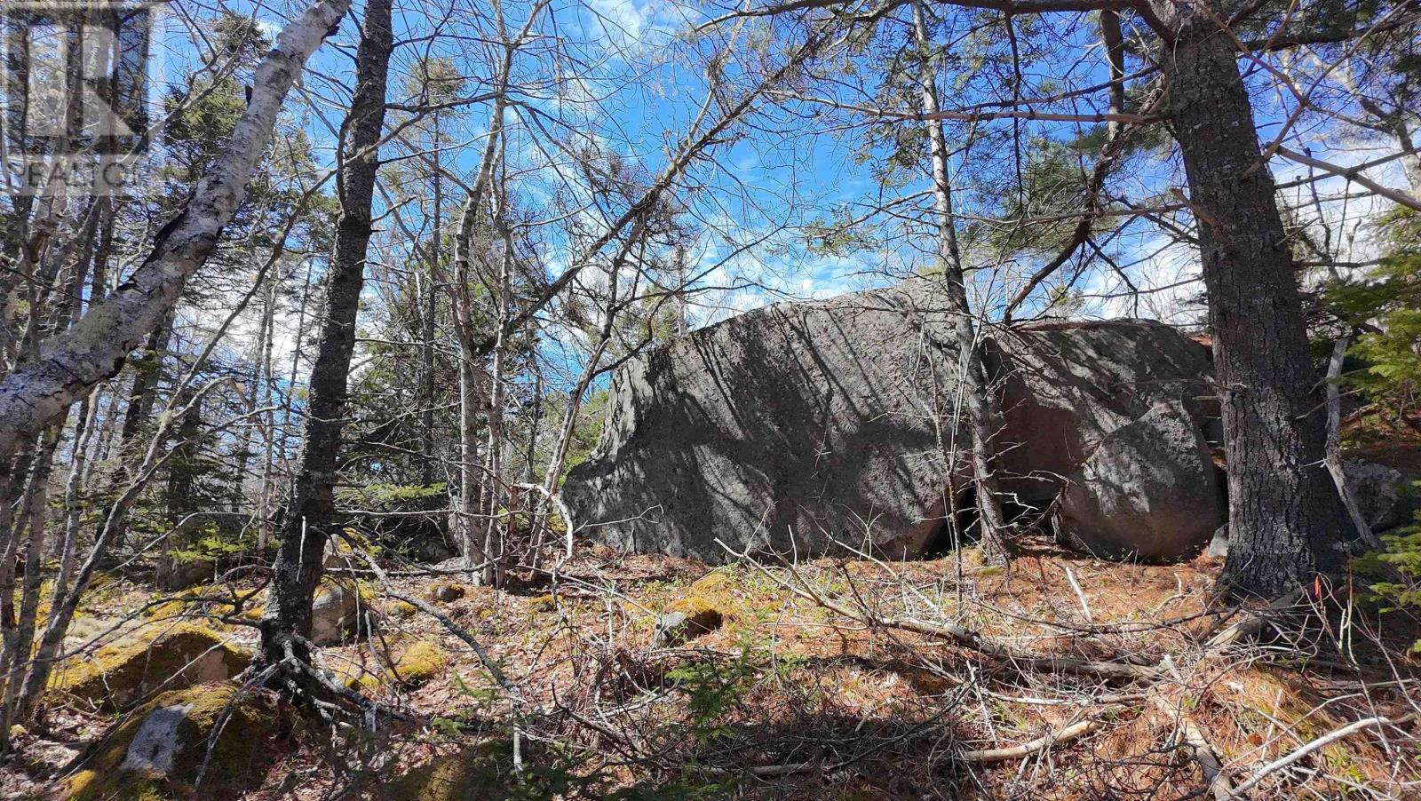 Lot 76 Sunset Road, Port Mouton, Nova Scotia  B0T 1T0 - Photo 17 - 202604831