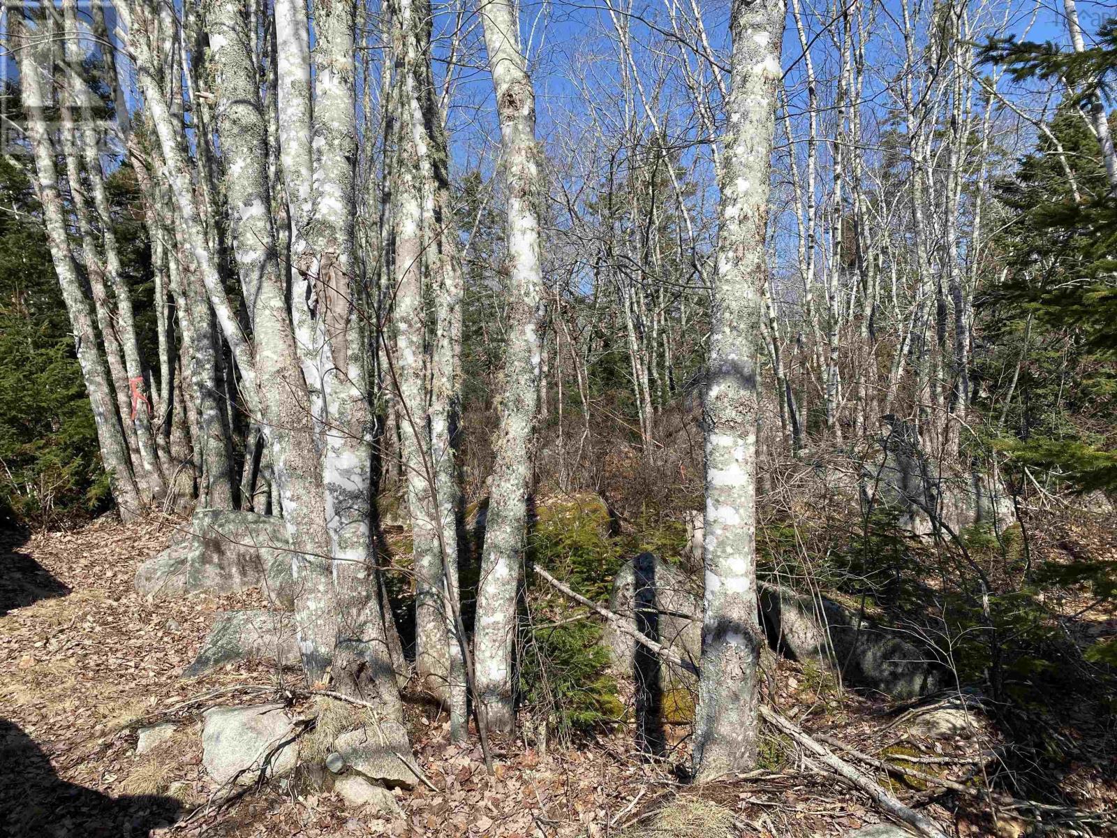 Lot 76 Sunset Road, Port Mouton, Nova Scotia  B0T 1T0 - Photo 21 - 202604831