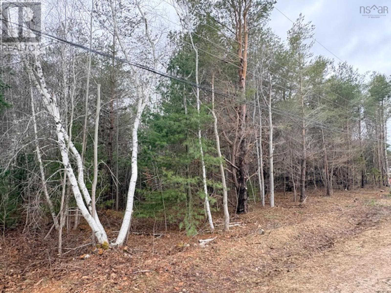 Lot 3 Wanda Lynn Drive, Nictaux, Nova Scotia  B0S 1P0 - Photo 2 - 202604866