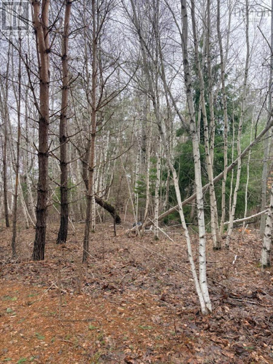 Lot 3 Wanda Lynn Drive, Nictaux, Nova Scotia  B0S 1P0 - Photo 4 - 202604866