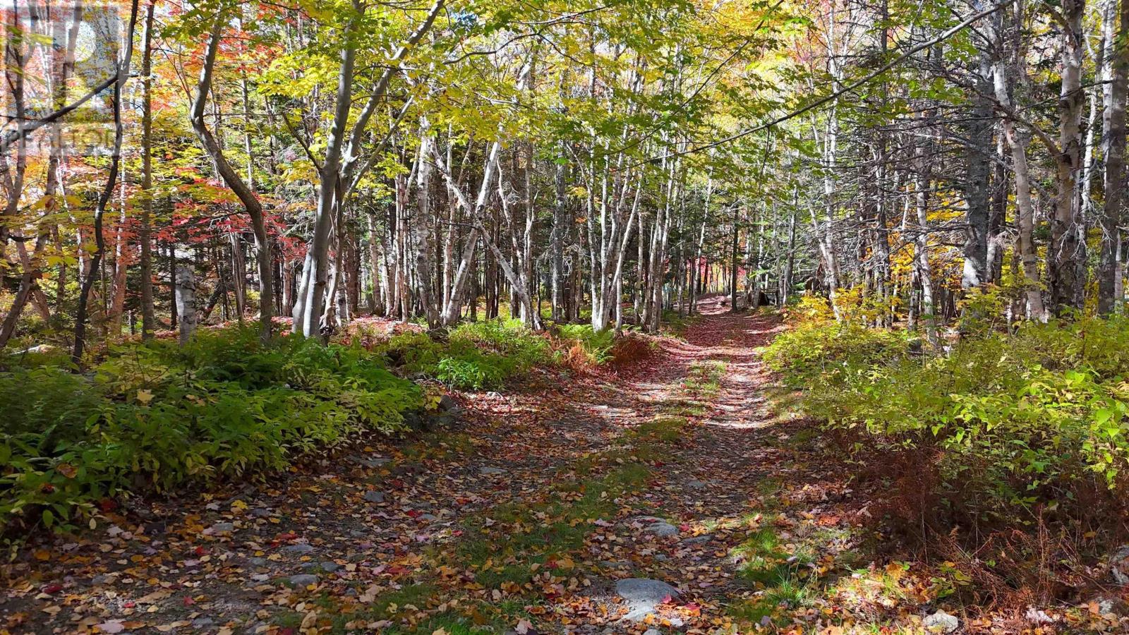 47403 Cabot Trail, Tarbotvale, Nova Scotia  B0E 1B0 - Photo 30 - 202604880