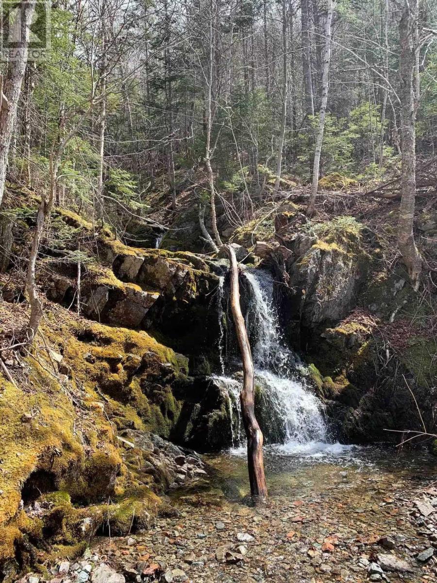 47403 Cabot Trail, Tarbotvale, Nova Scotia  B0E 1B0 - Photo 37 - 202604880
