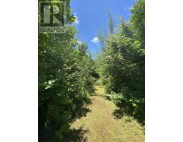 850 Gospel Road|(Portion of), west glenmont, Nova Scotia