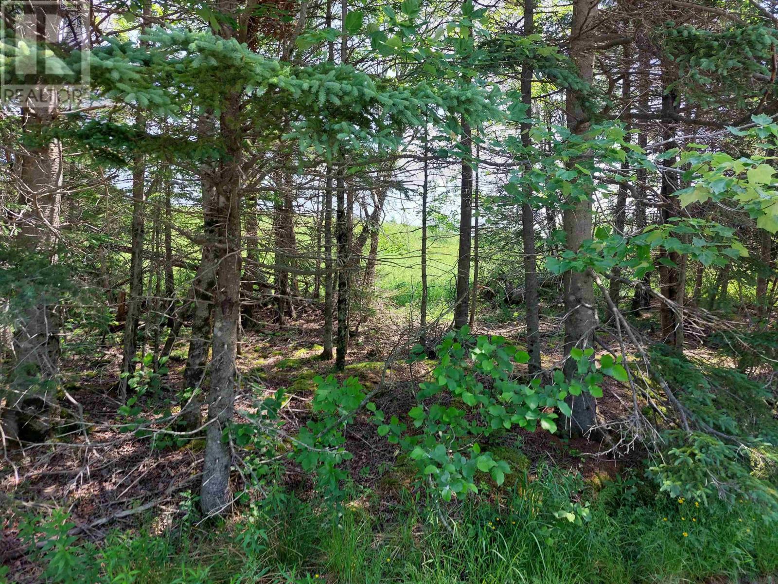 Lot 3 Grand Mira Rd S, Grand Mira South, Nova Scotia  B1K 1H2 - Photo 10 - 202605117