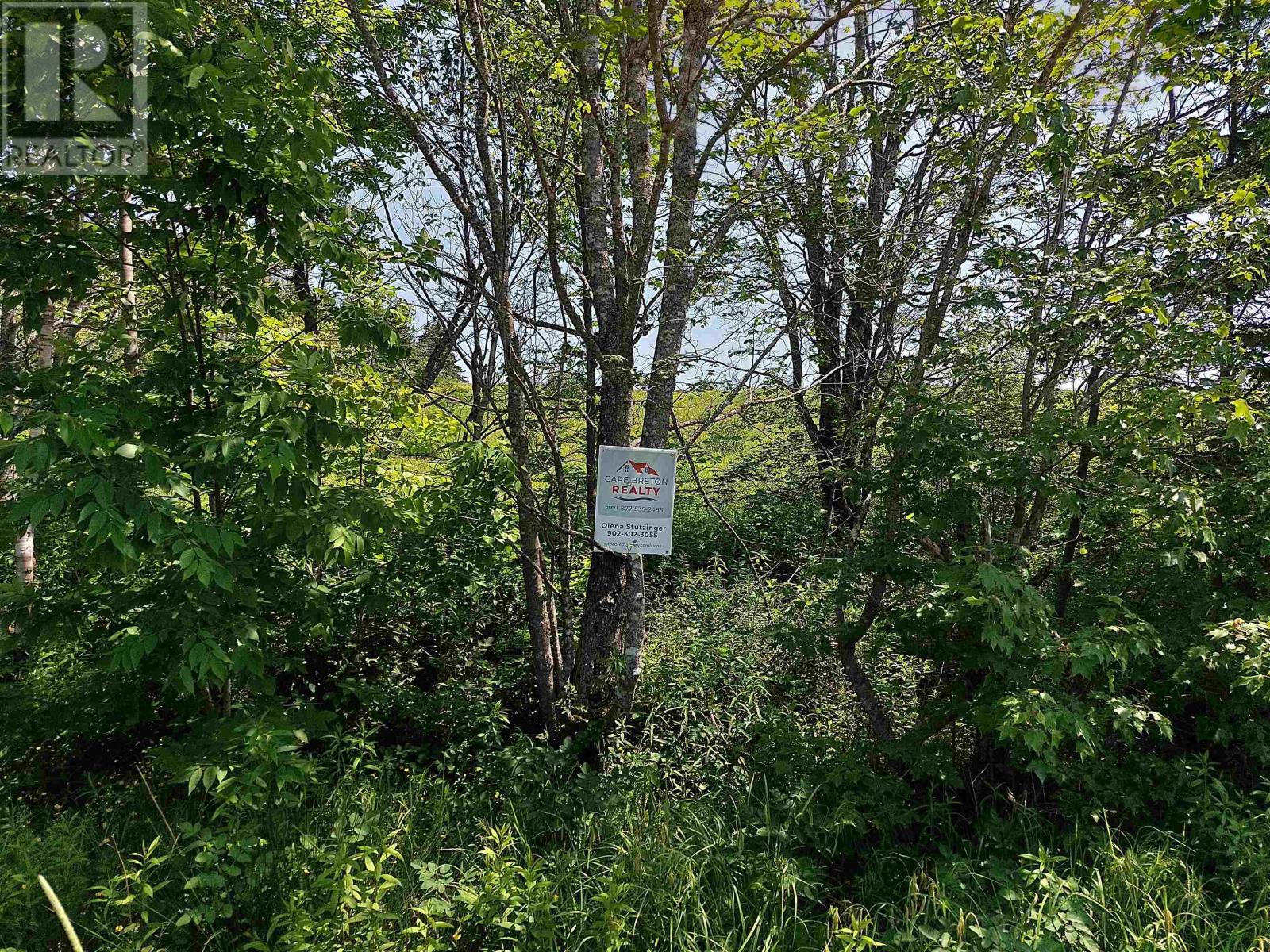 Lot 4 Grand Mira Rd S, Grand Mira South, Nova Scotia  B1K 1H2 - Photo 10 - 202605118