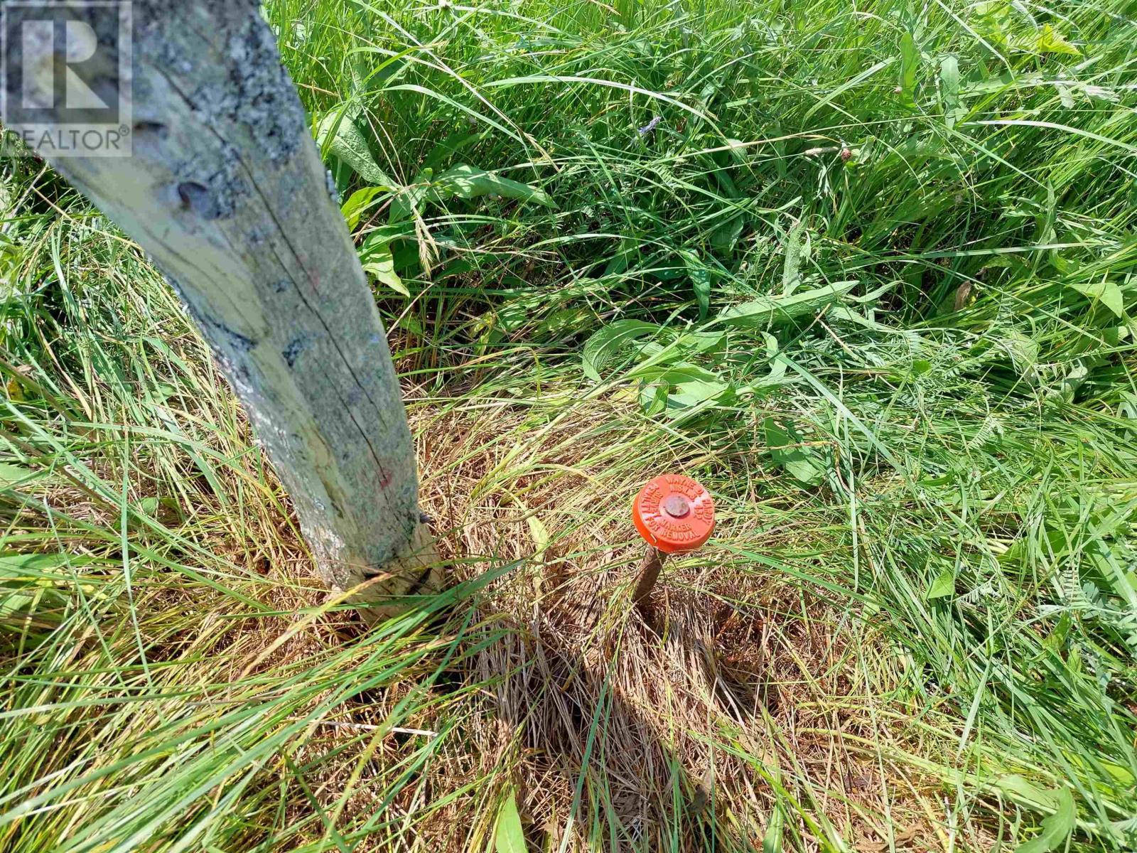 Lot 4 Grand Mira Rd S, Grand Mira South, Nova Scotia  B1K 1H2 - Photo 9 - 202605118