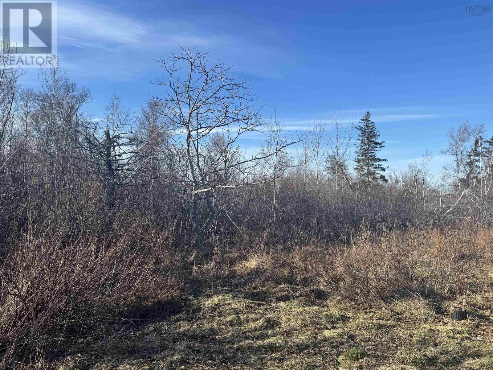 81 Levi White Road, Kings Head, Nova Scotia  B2H 5C4 - Photo 21 - 202605132