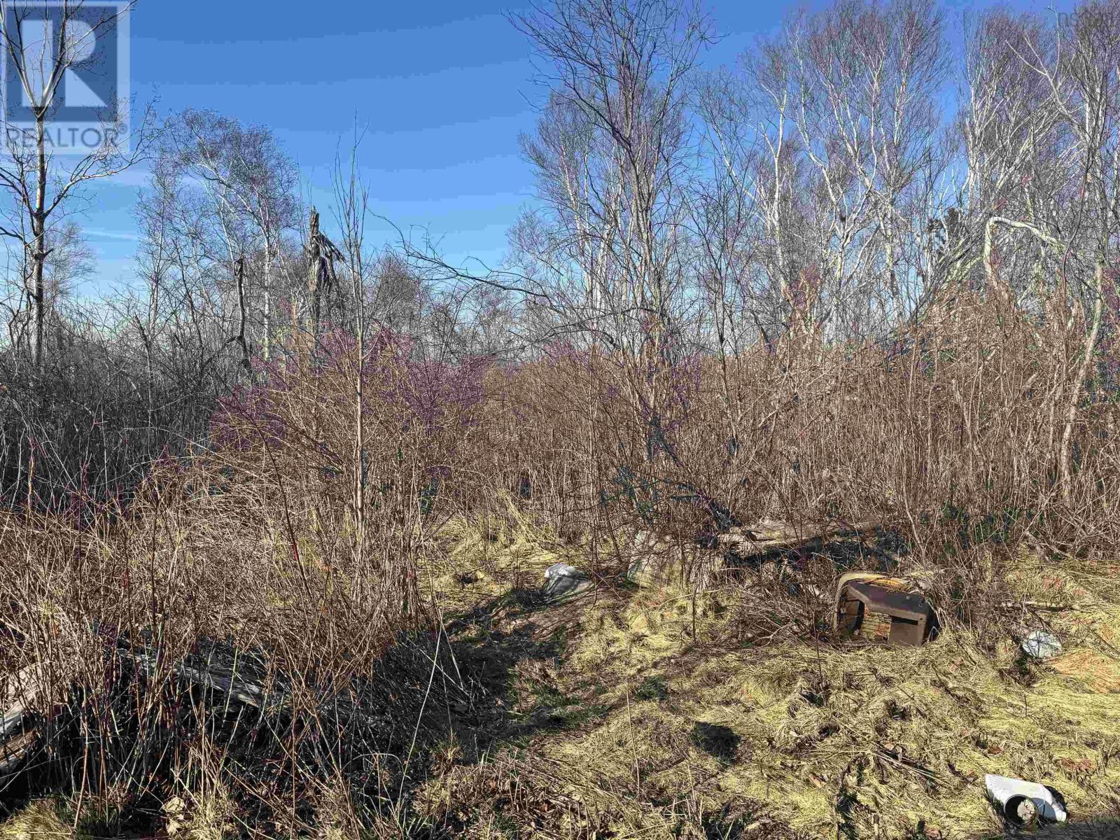 81 Levi White Road, Kings Head, Nova Scotia  B2H 5C4 - Photo 11 - 202605133