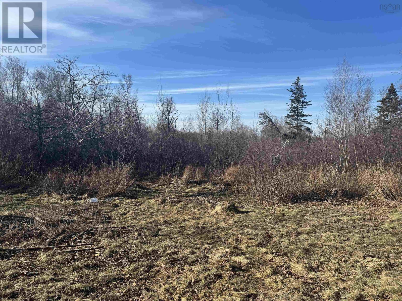 81 Levi White Road, Kings Head, Nova Scotia  B2H 5C4 - Photo 12 - 202605133