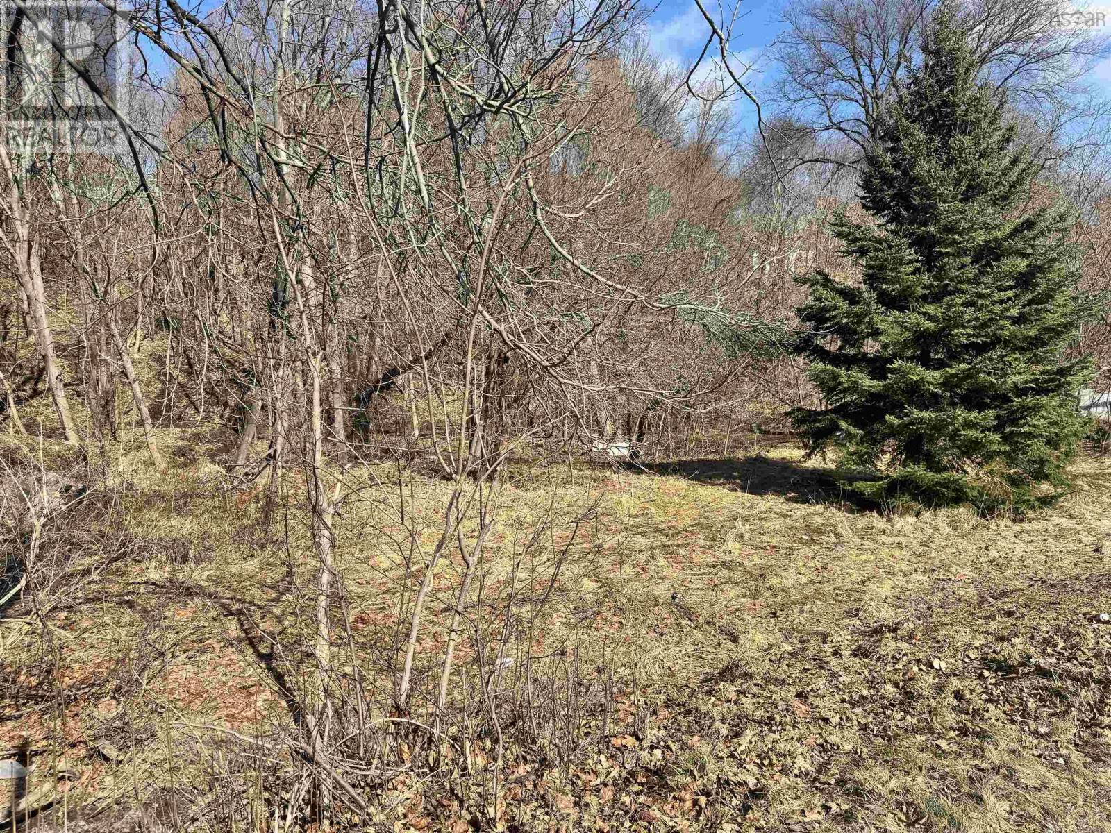 Lot Munroe Avenue, New Glasgow, Nova Scotia  B2H 2E4 - Photo 3 - 202605134